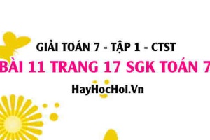 Giải bài 11 trang 17 Toán 7 Tập 1 SGK Chân trời sáng tạo